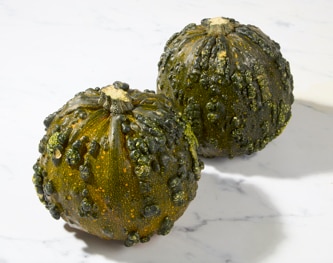 Bay Baby Farms Bumpy Pumpkin