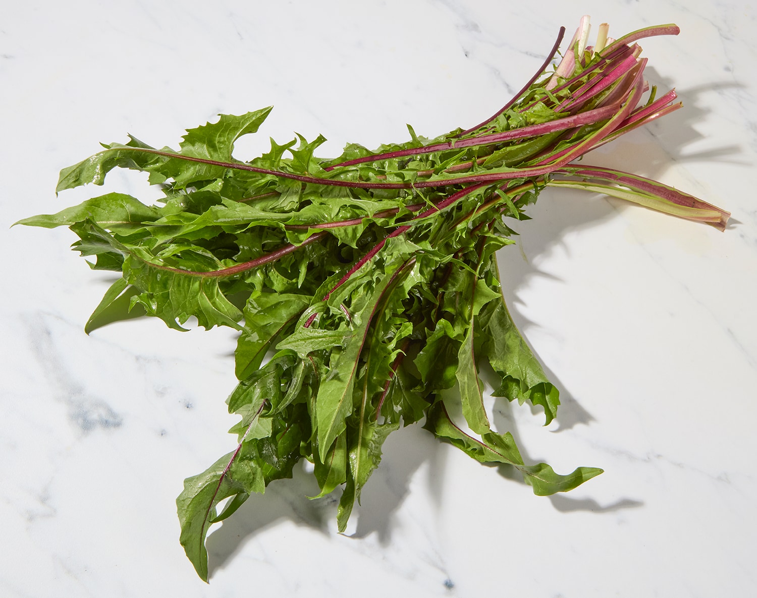 Organic Dandelion Greens, image 1 of 2 slides