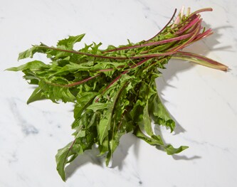 Organic Dandelion Greens