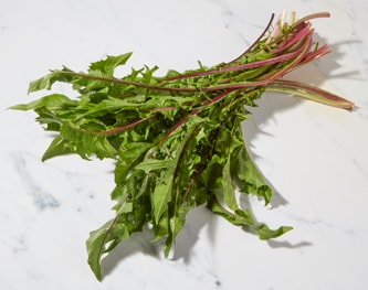 Organic Dandelion Greens