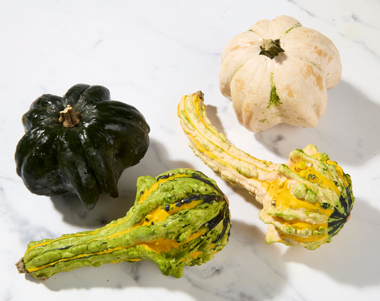 Grown in Pennsylvania Mixed Gourds, image 2 of 2 slides
