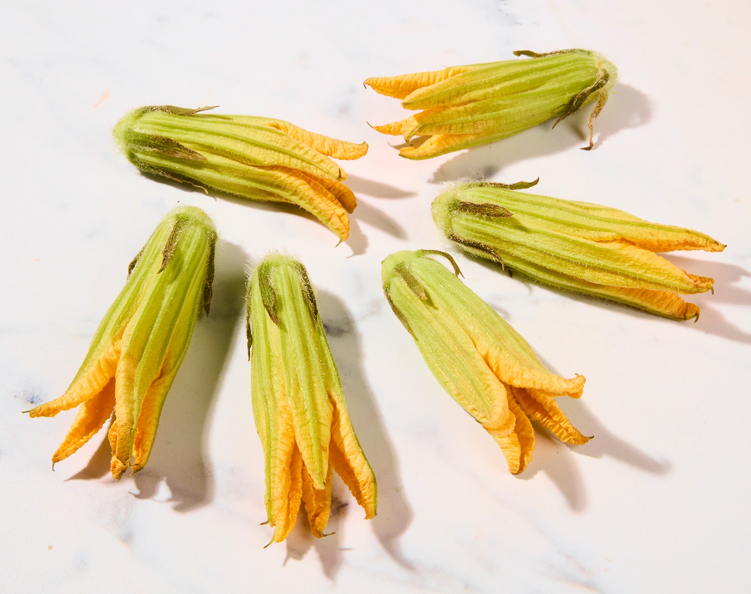 Lancaster Farm Fresh Cooperative Local Organic Squash Blossoms, image 2 of 2 slides