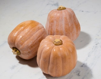 Lancaster Farm Fresh Cooperative Organic Robin's Koginut Squash