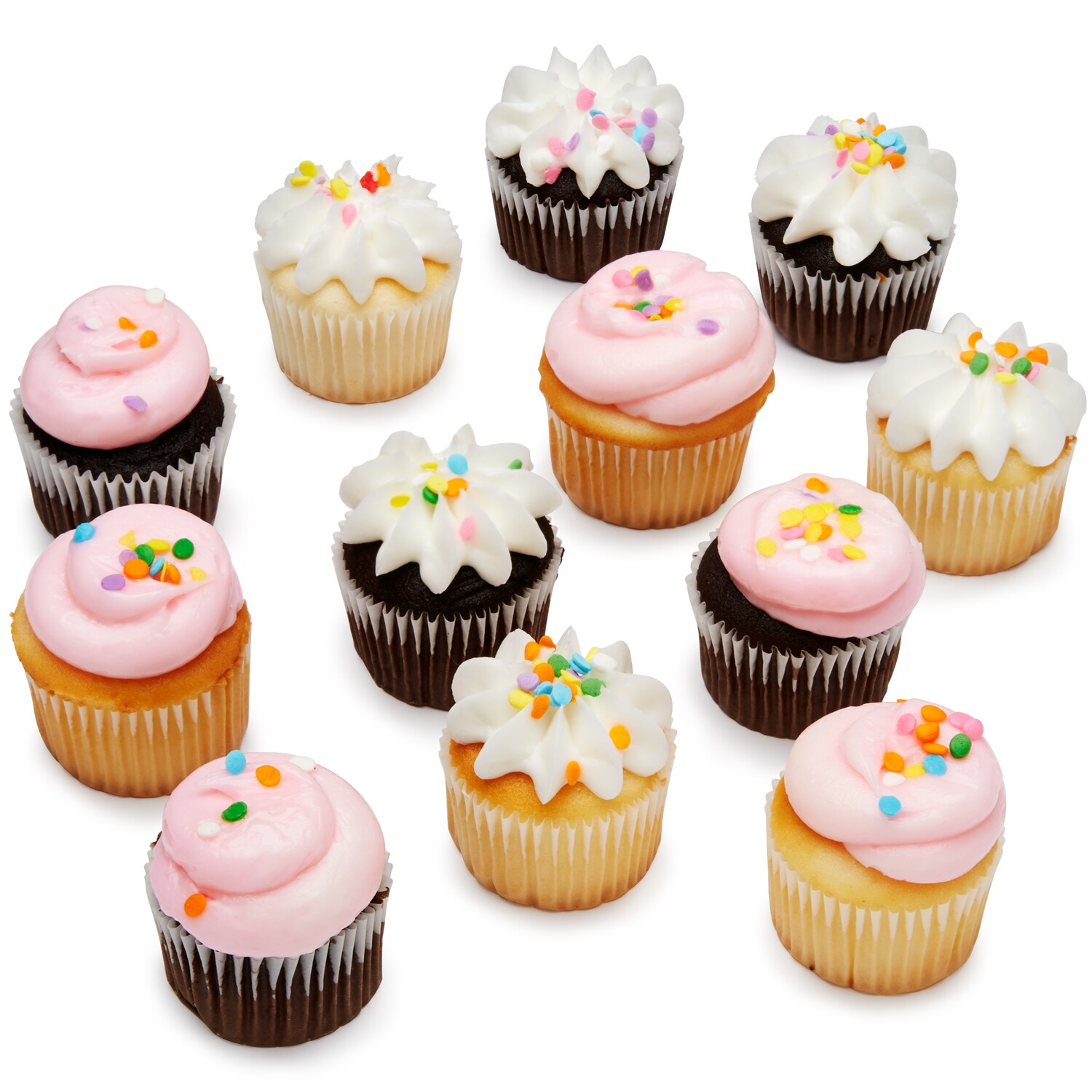 House of Cupcakes Celebration Mini Cupcakes