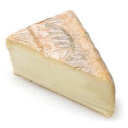 Taleggio Cheese DOP