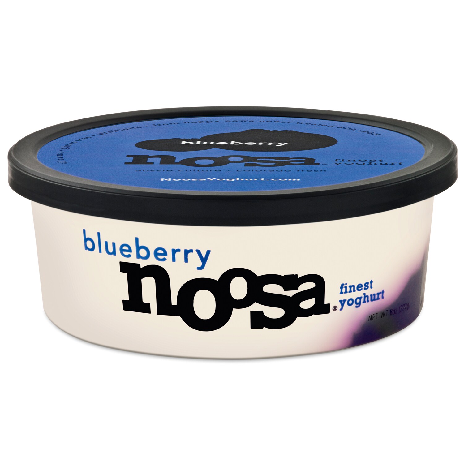 Noosa Finest Yoghurt, Blueberry
