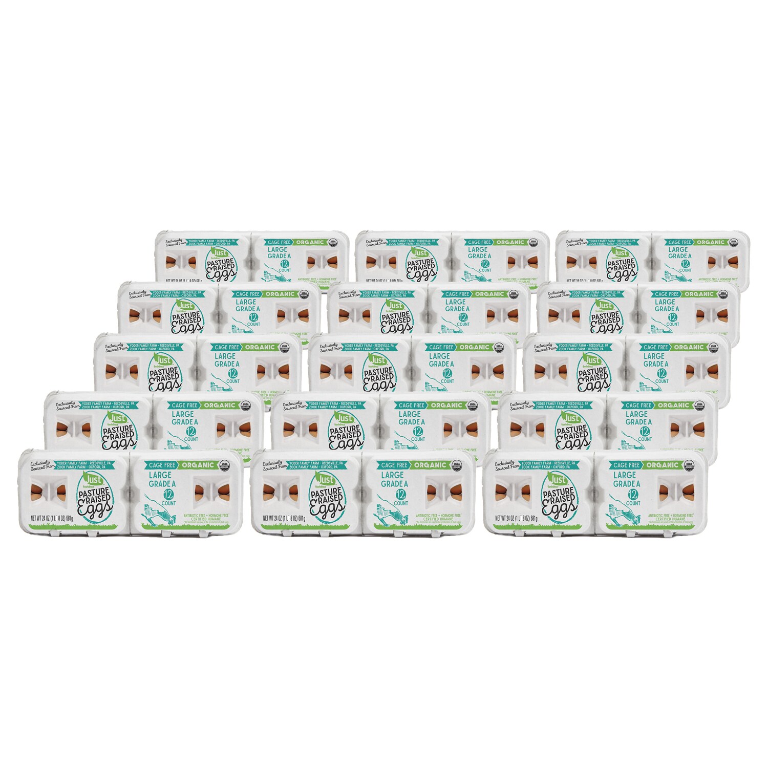 Just FreshDirect Organic Cage-Free Pasture-Raised Grade A Large Eggs