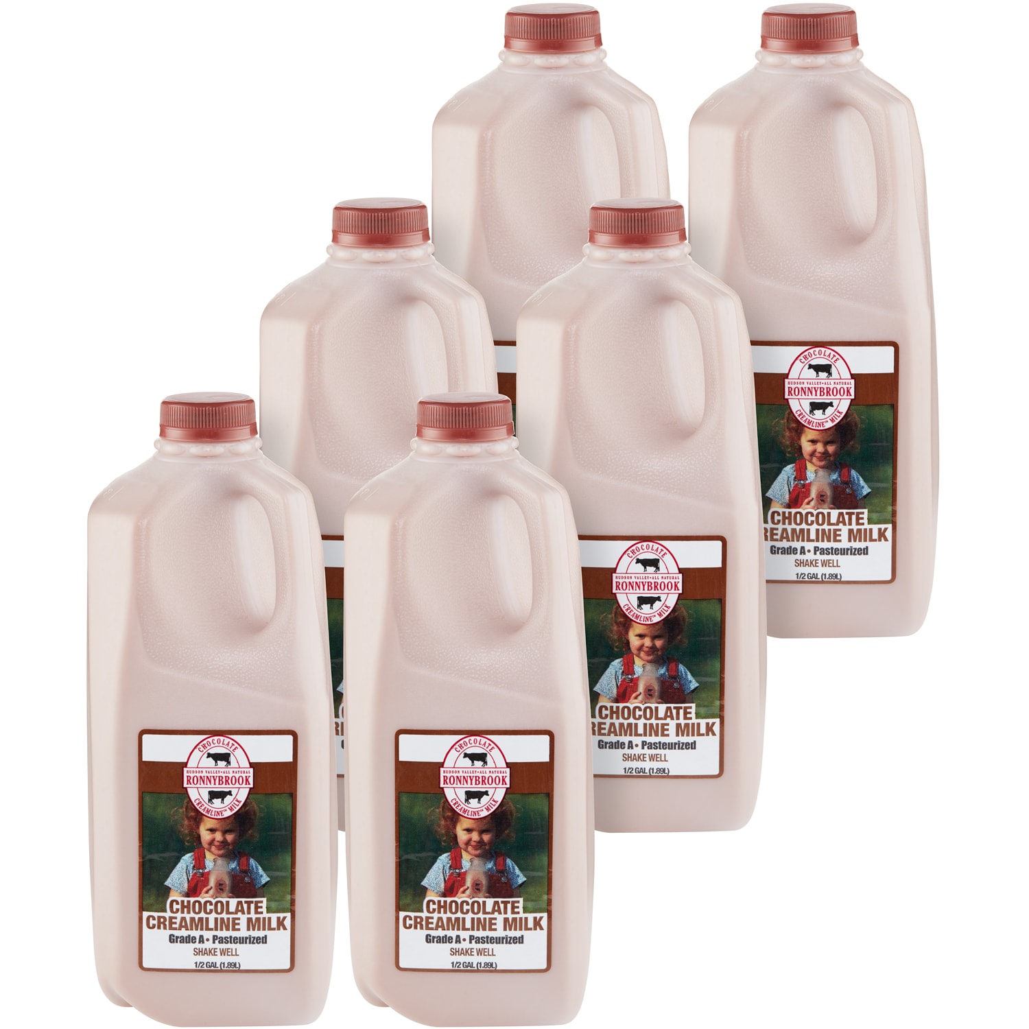 Ronnybrook All Natural Chocolate Milk, Plastic Bottles