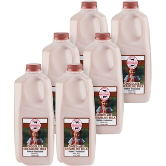 Ronnybrook All Natural Chocolate Milk, Plastic Bottles
