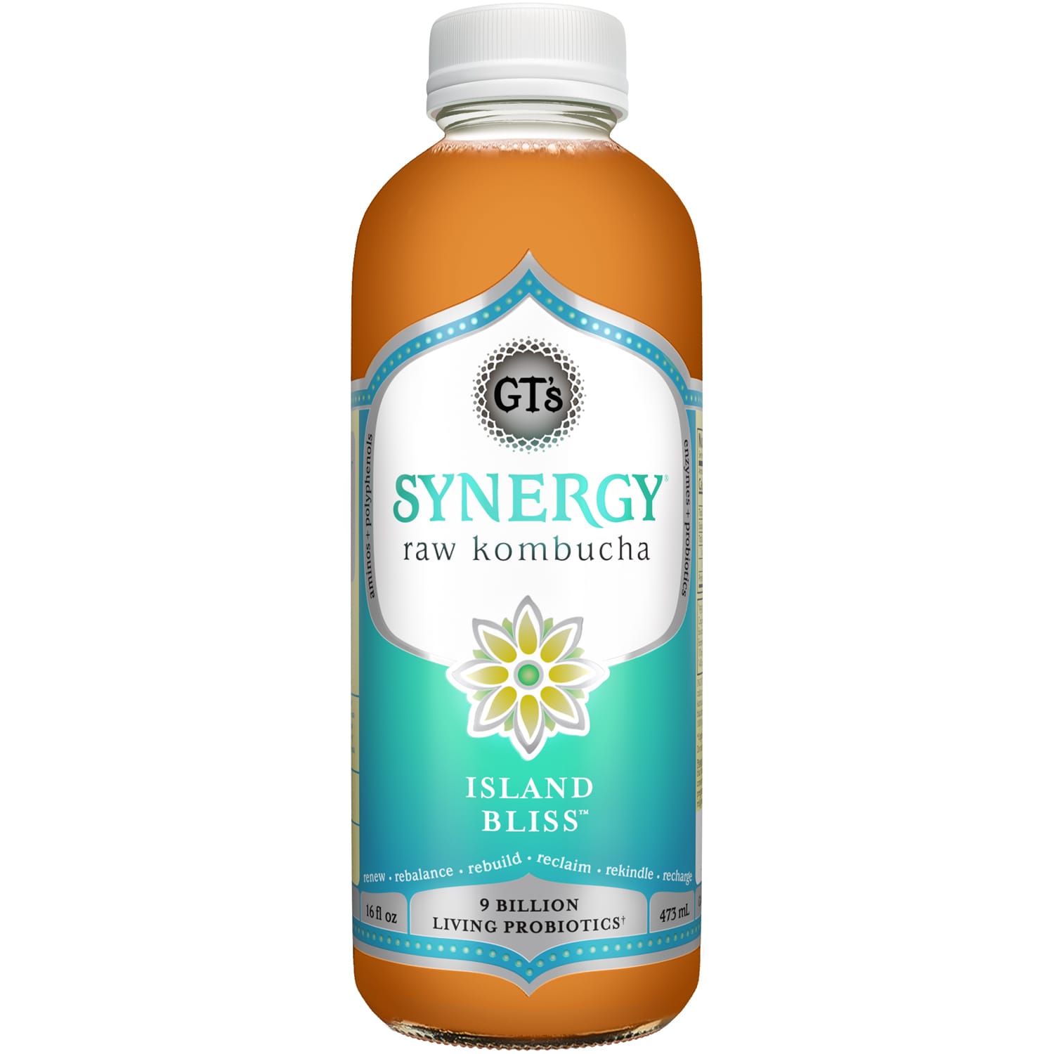 GT's Synergy Organic Raw Kombucha, Island Bliss, Glass Bottle