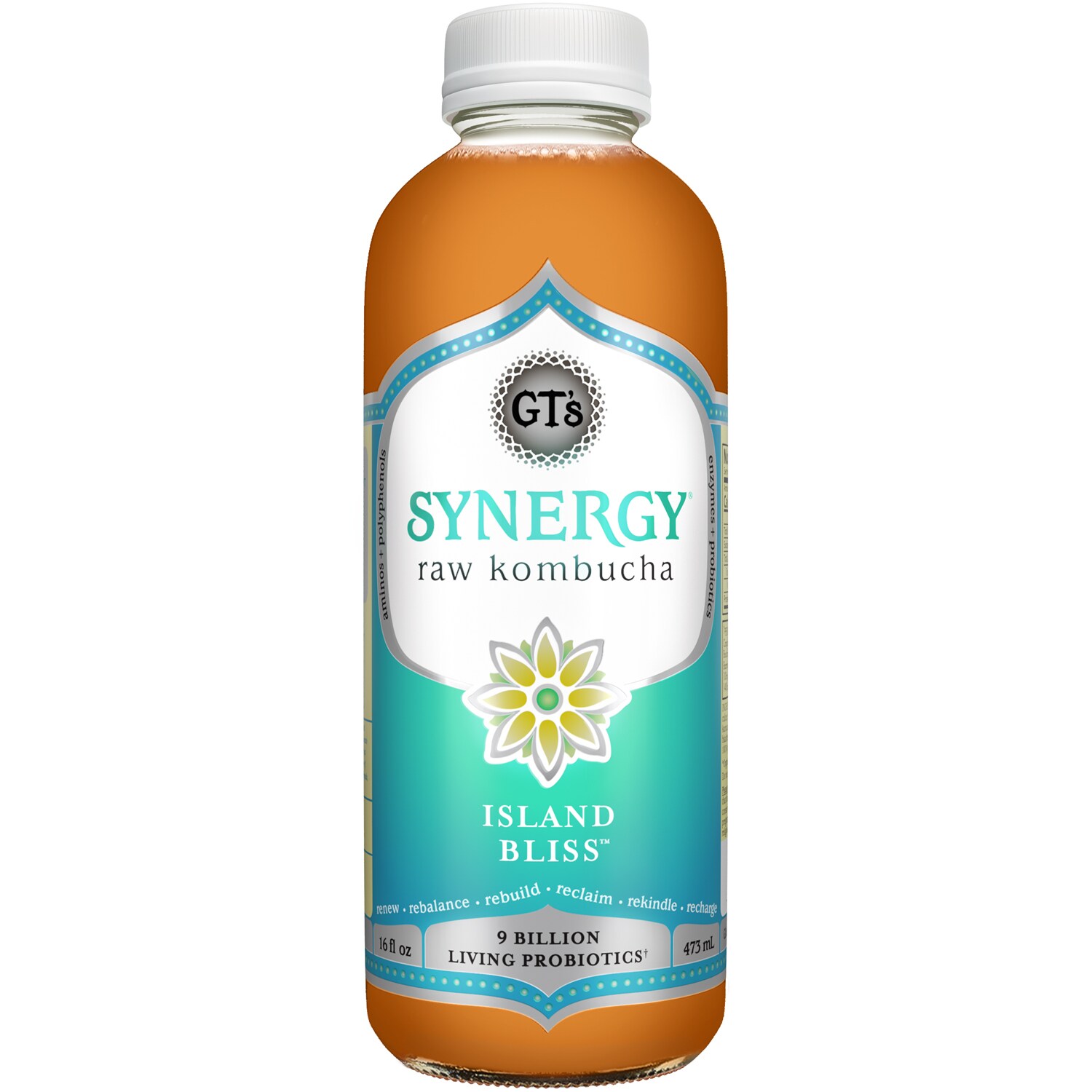 GT's Synergy Organic Raw Kombucha, Island Bliss, Glass Bottle