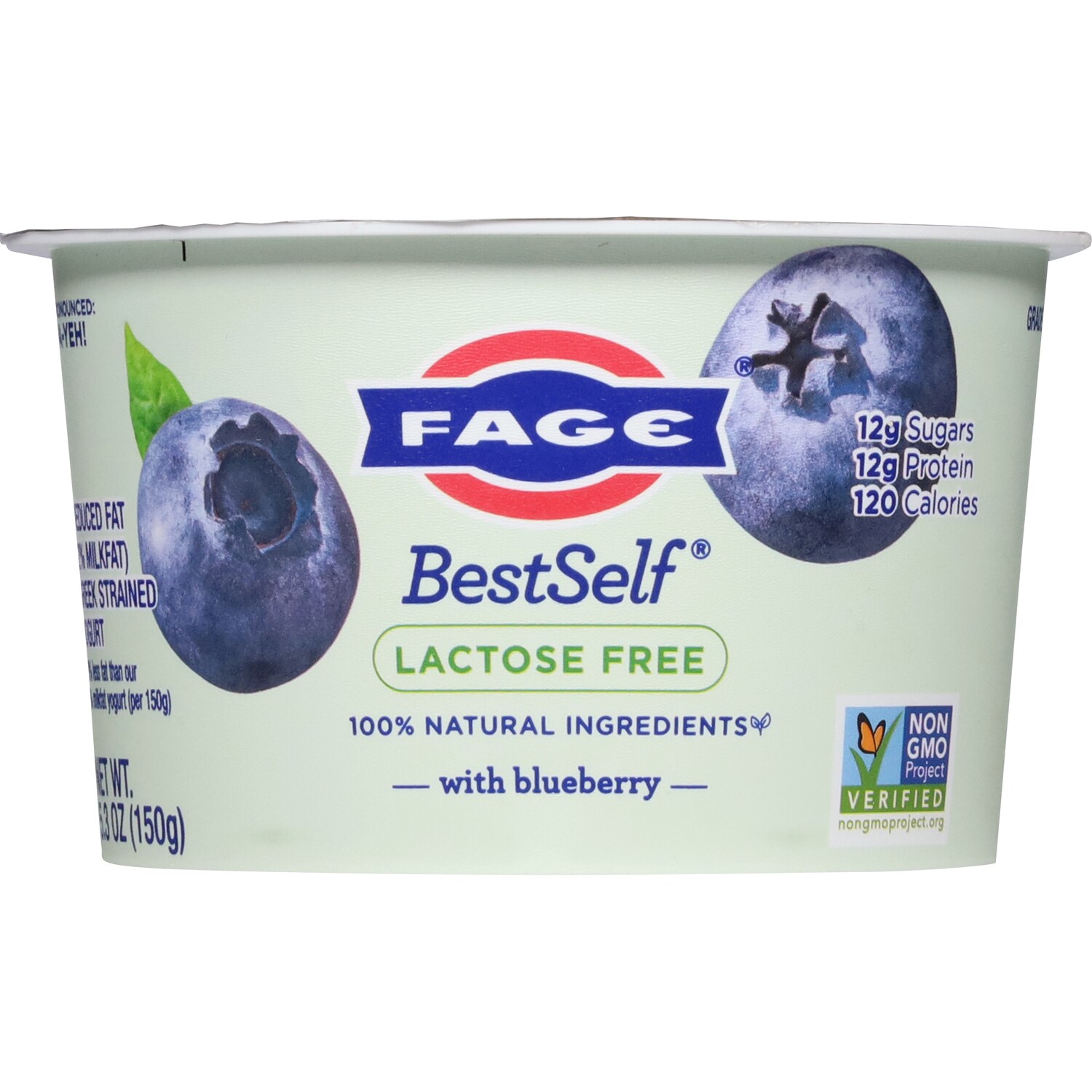 Fage BestSelf Lactose Free Greek Yogurt, Blueberry
