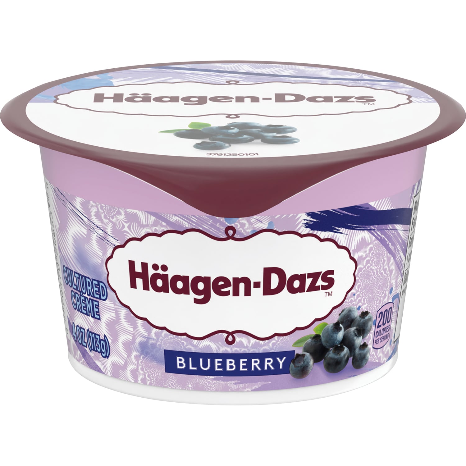 Haagen-Dazs Cultured Crème Yogurt, Blueberry