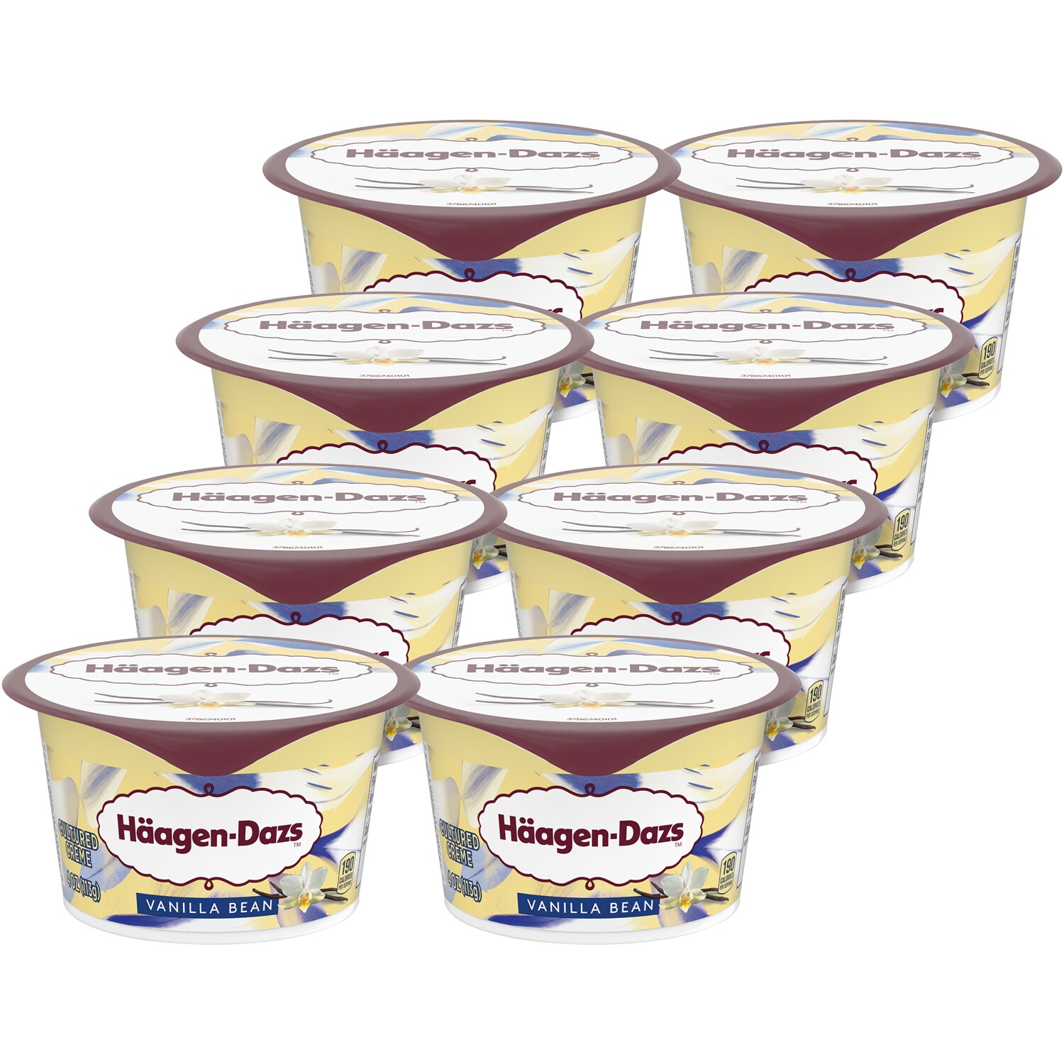 Haagen-Dazs Cultured Crème Yogurt, Vanilla Bean