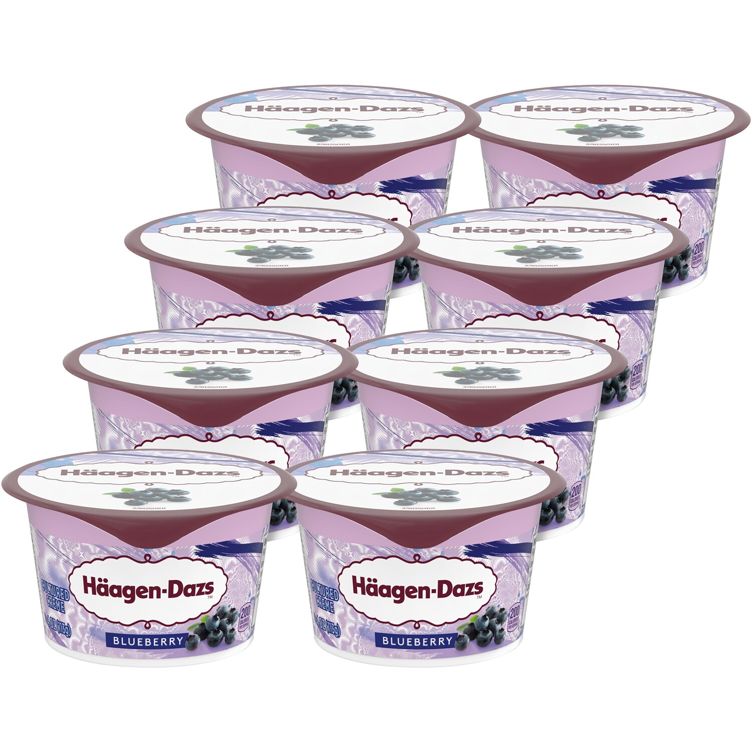Haagen-Dazs Cultured Crème Yogurt, Blueberry