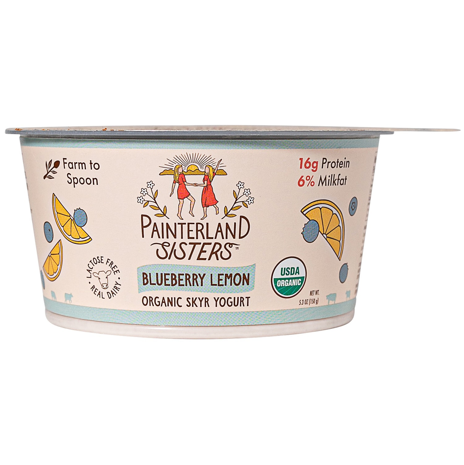 Painterland Sisters Skyr Yogurt Icelandic Style, Blueberry Lemon