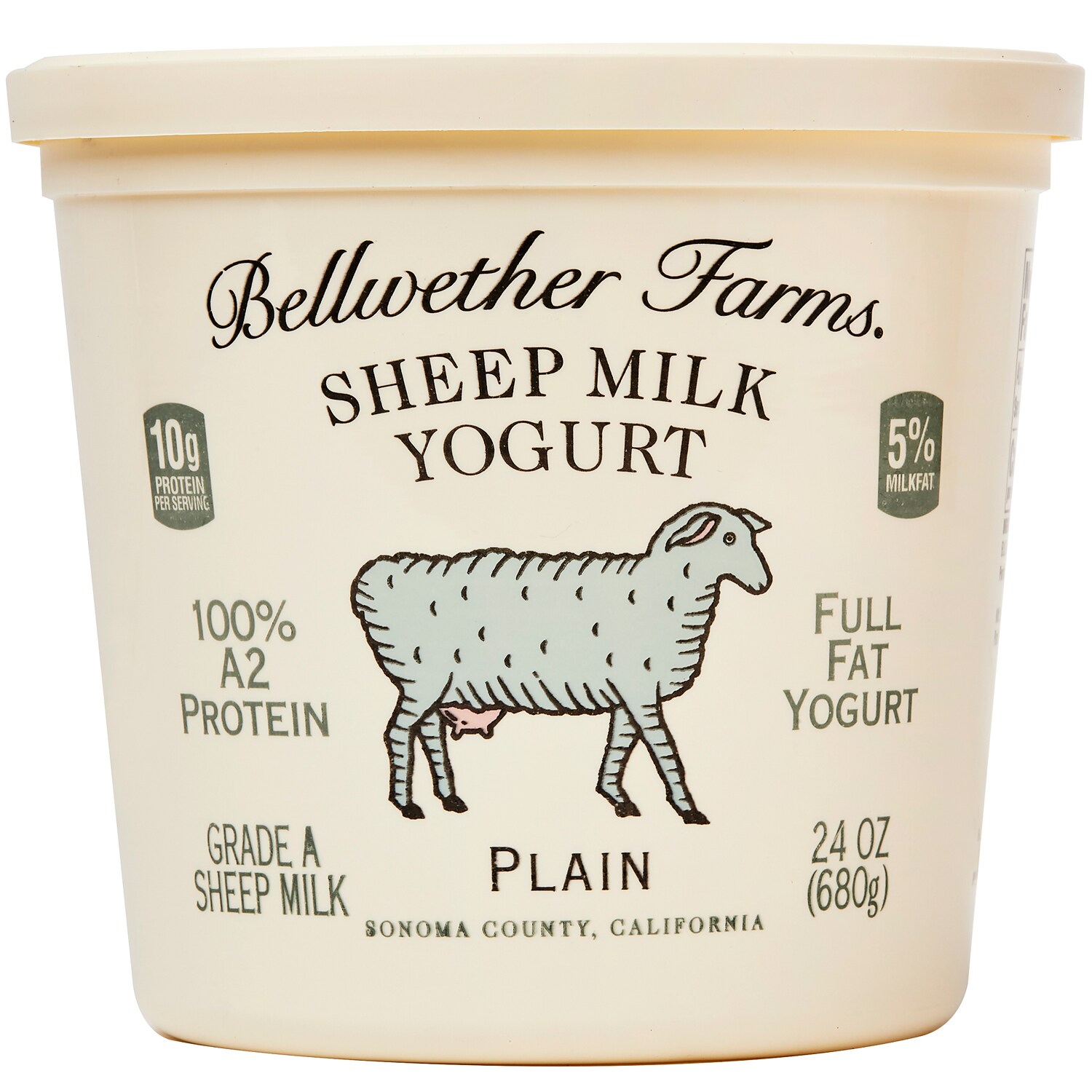 Sheep Milk Yogurt, Plain