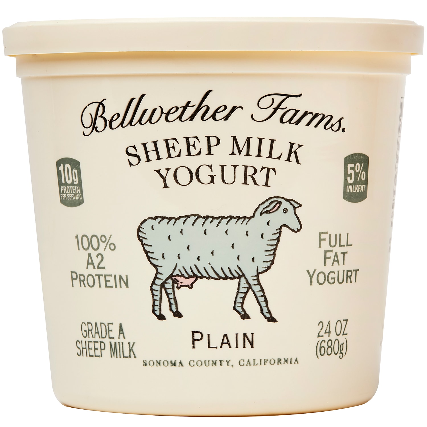 Sheep Milk Yogurt, Plain