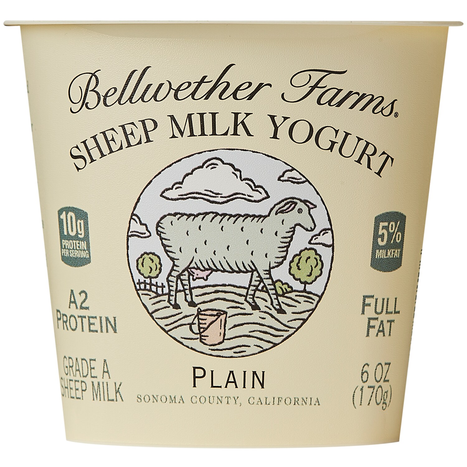 Sheep Milk Yogurt, Plain
