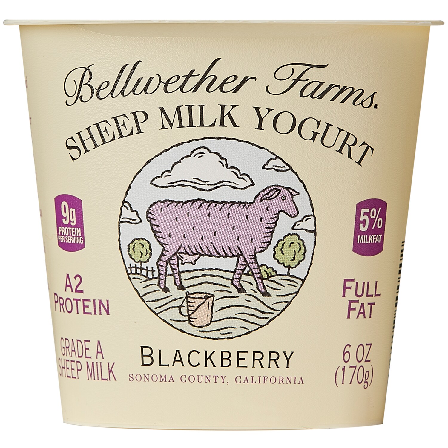 Sheep Milk Yogurt, Blackberry