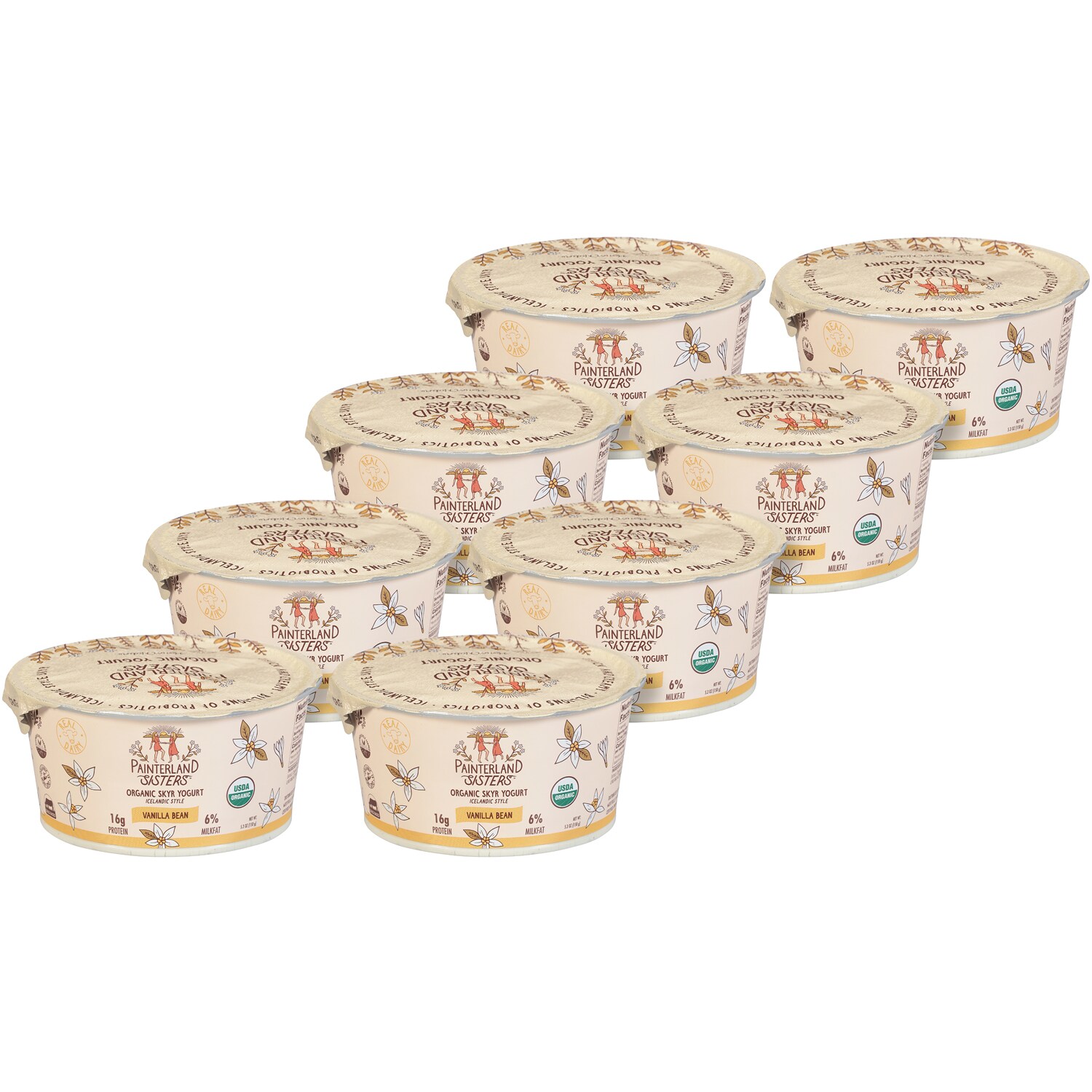 Painterland Sisters Skyr Yogurt Icelandic Style, Vanilla Bean, Case