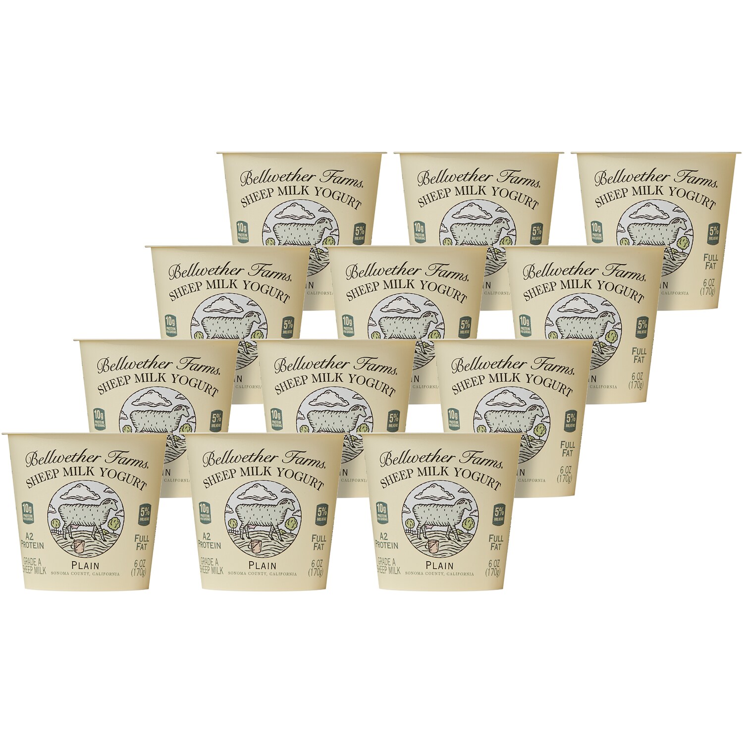 Sheep Milk Yogurt, Plain