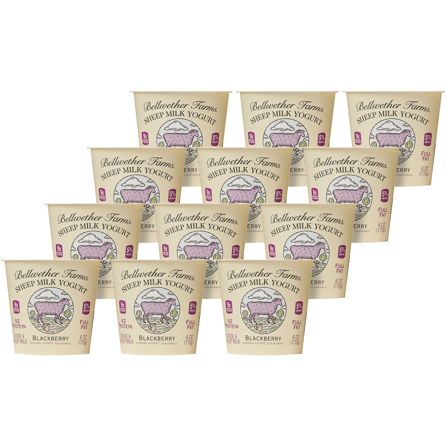 Bellwether Farms Sheep Milk Yogurt, Blackberry