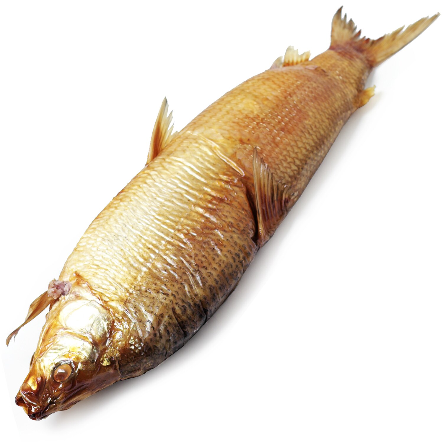 Jumbo Smoked Whitefish