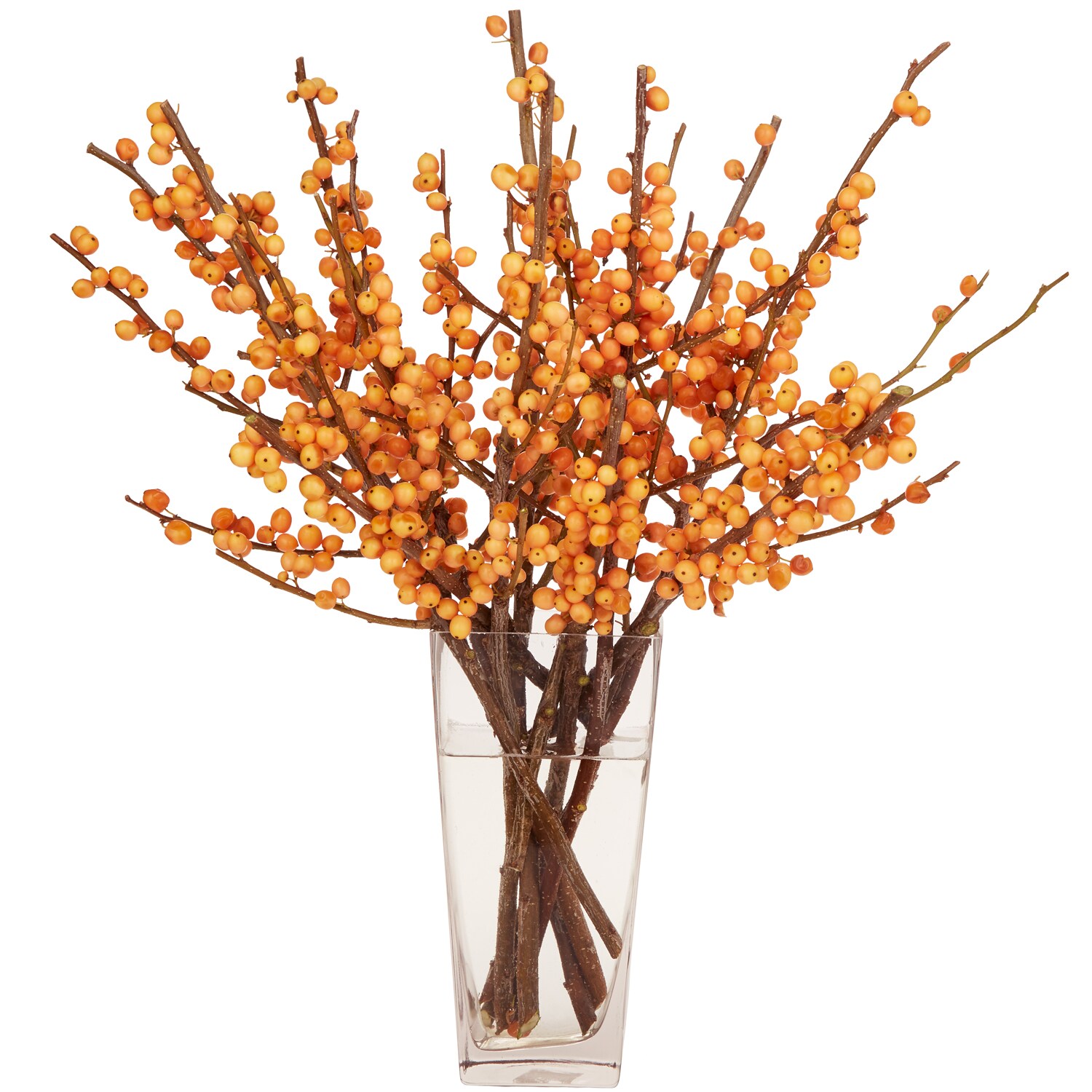 "Golden" Ilex Berry Branches