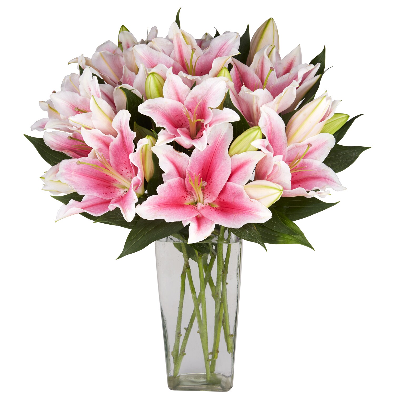 Pink "Sorbonne" Oriental Lilies, California Grown