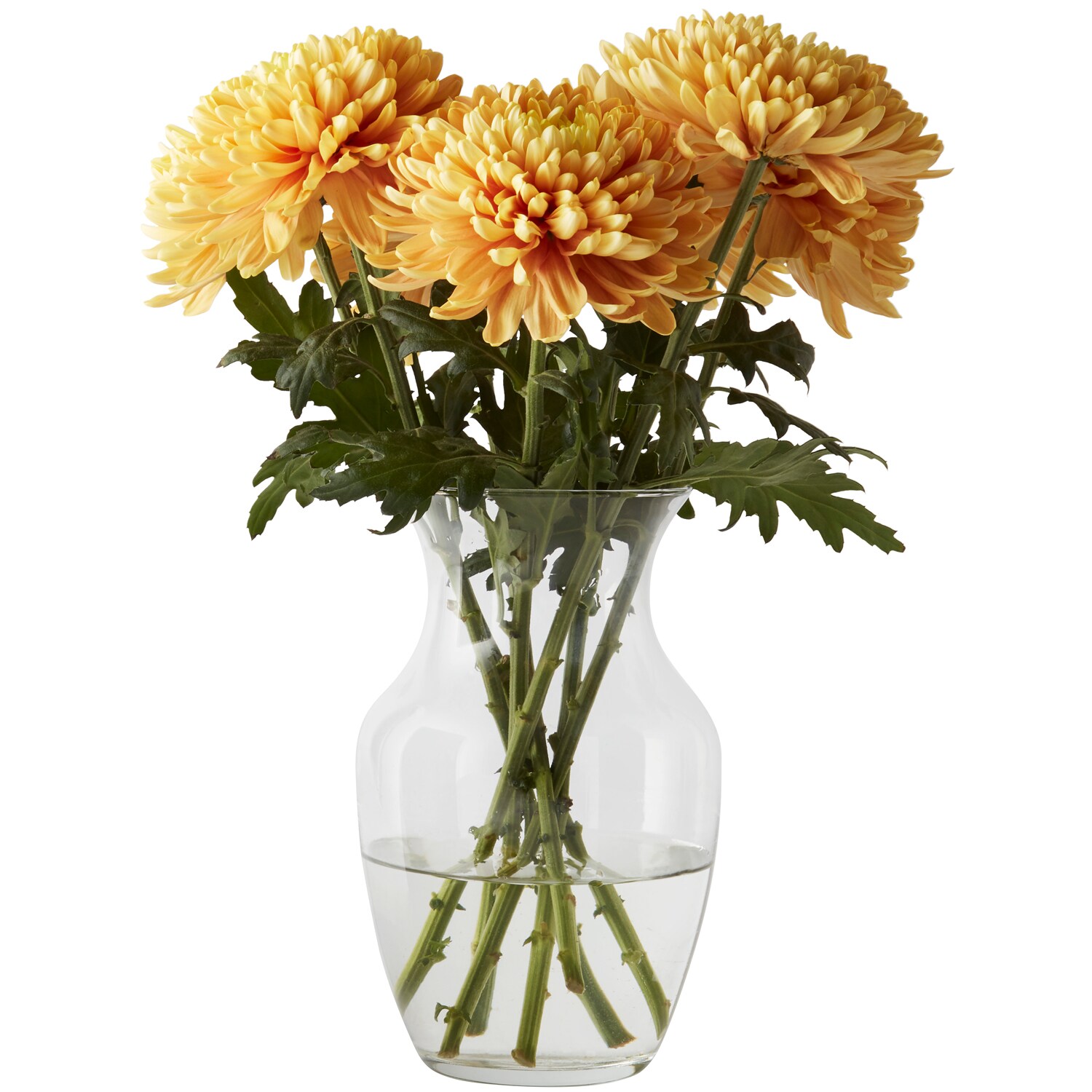 Rossano Orange Mums Bunch
