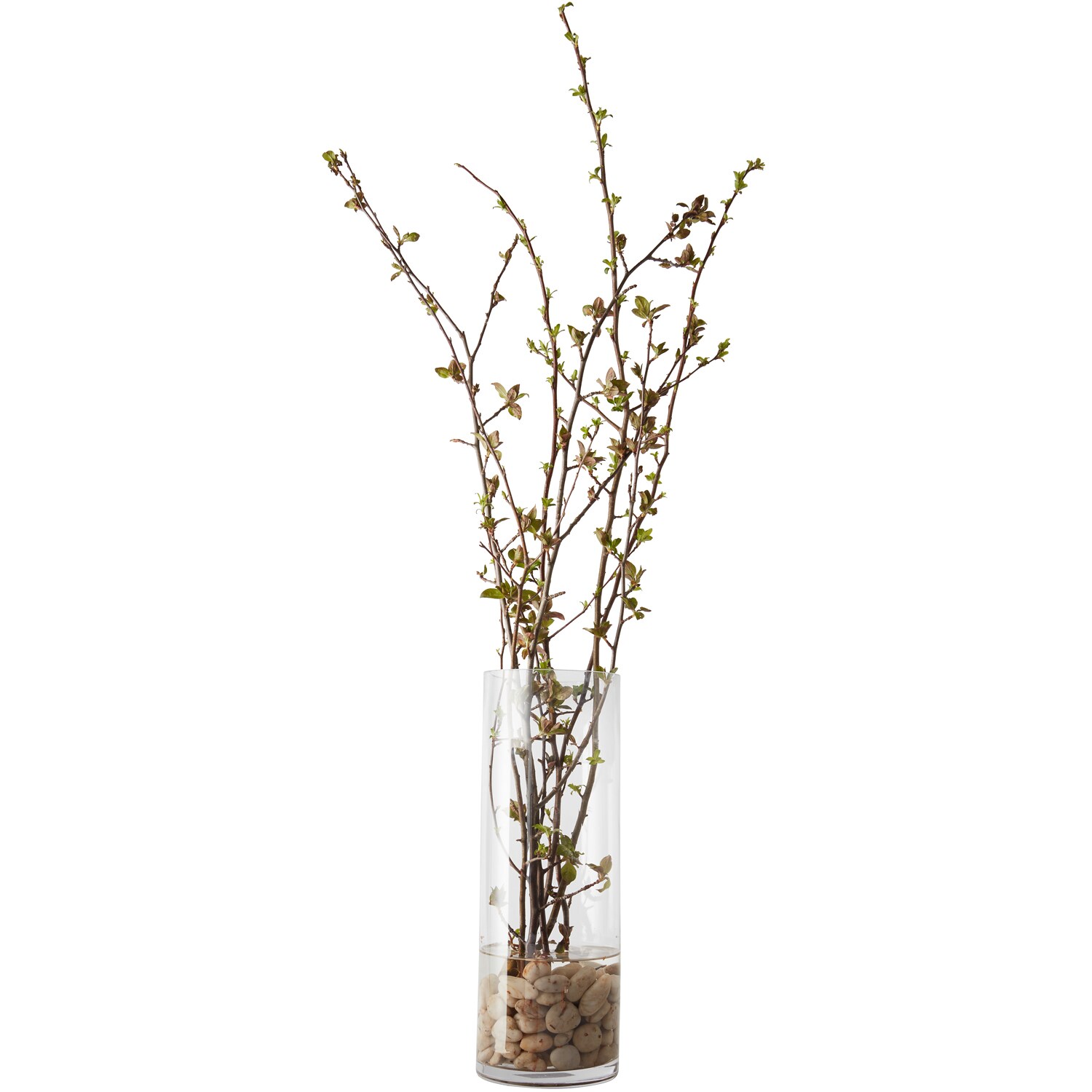 Meadows and More Wild Branches