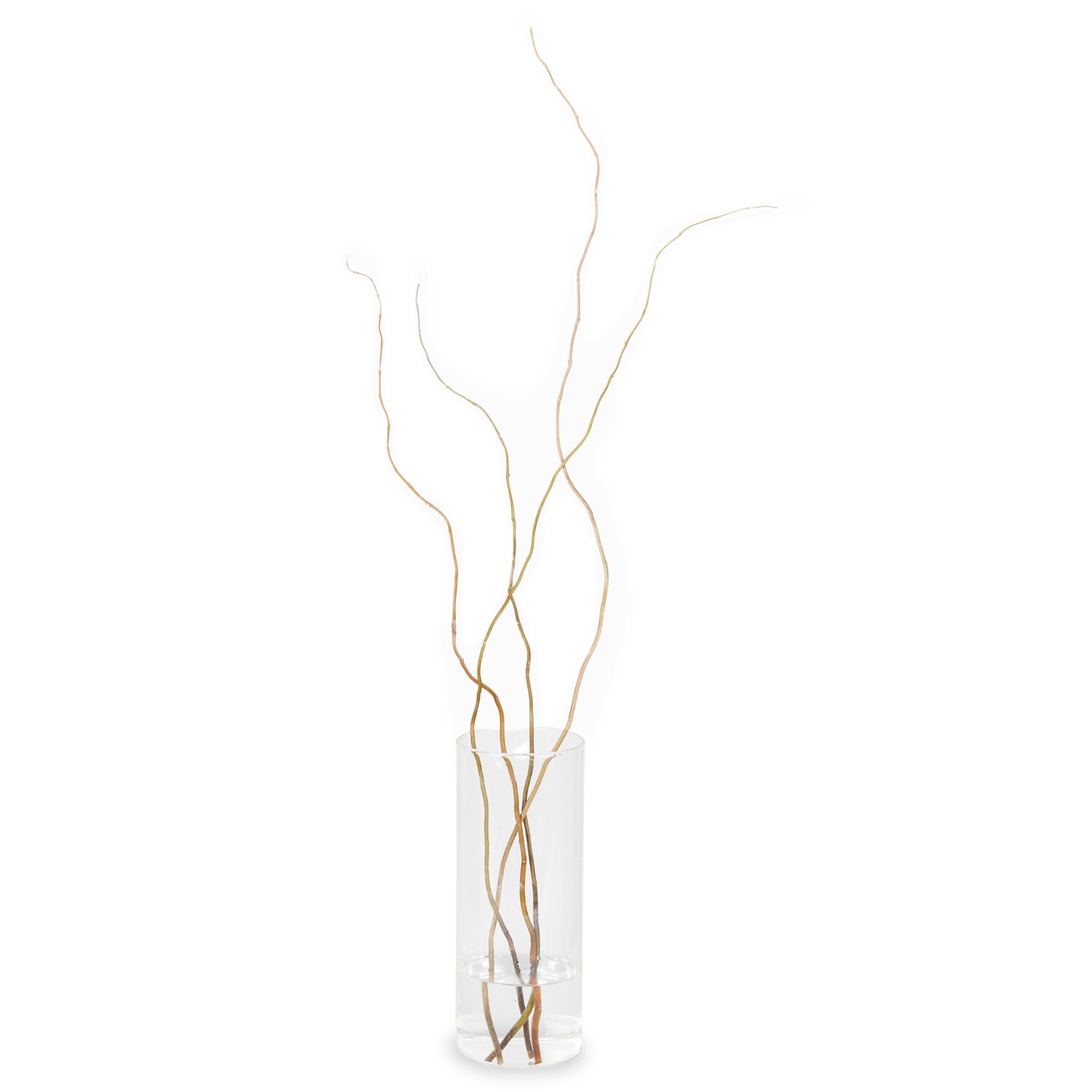 Curly Willow Tip Branches