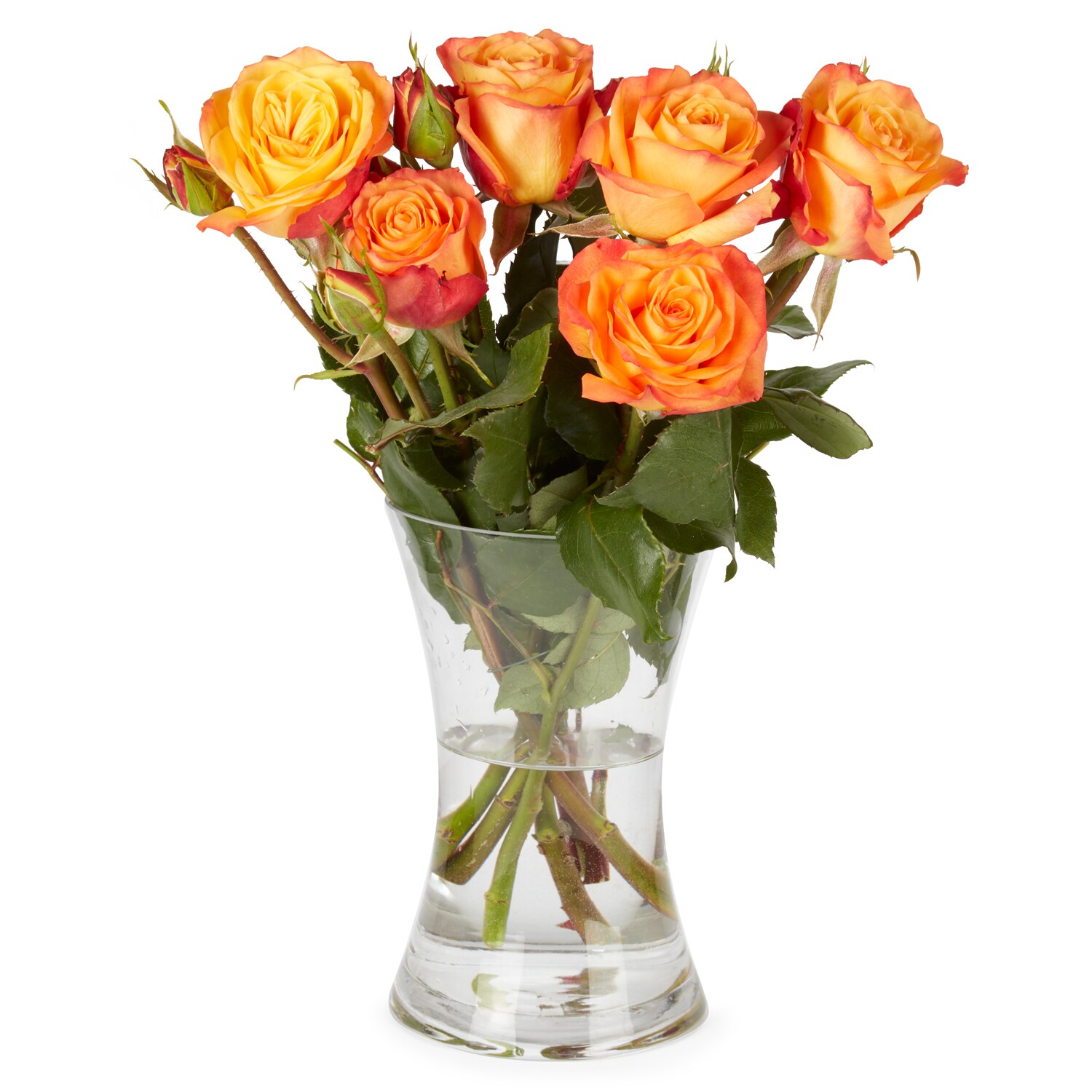 Half Dozen Garden Roses, Various Colors