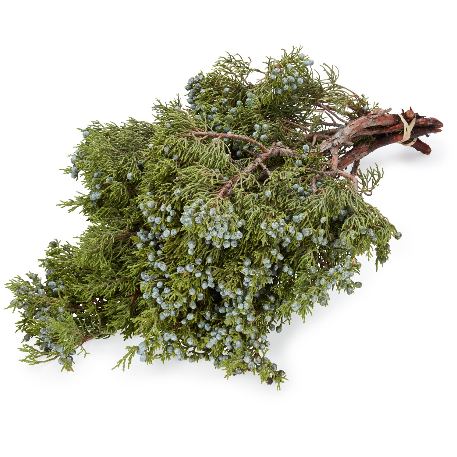 Fresh Berried Juniper Christmas Greens Bunch