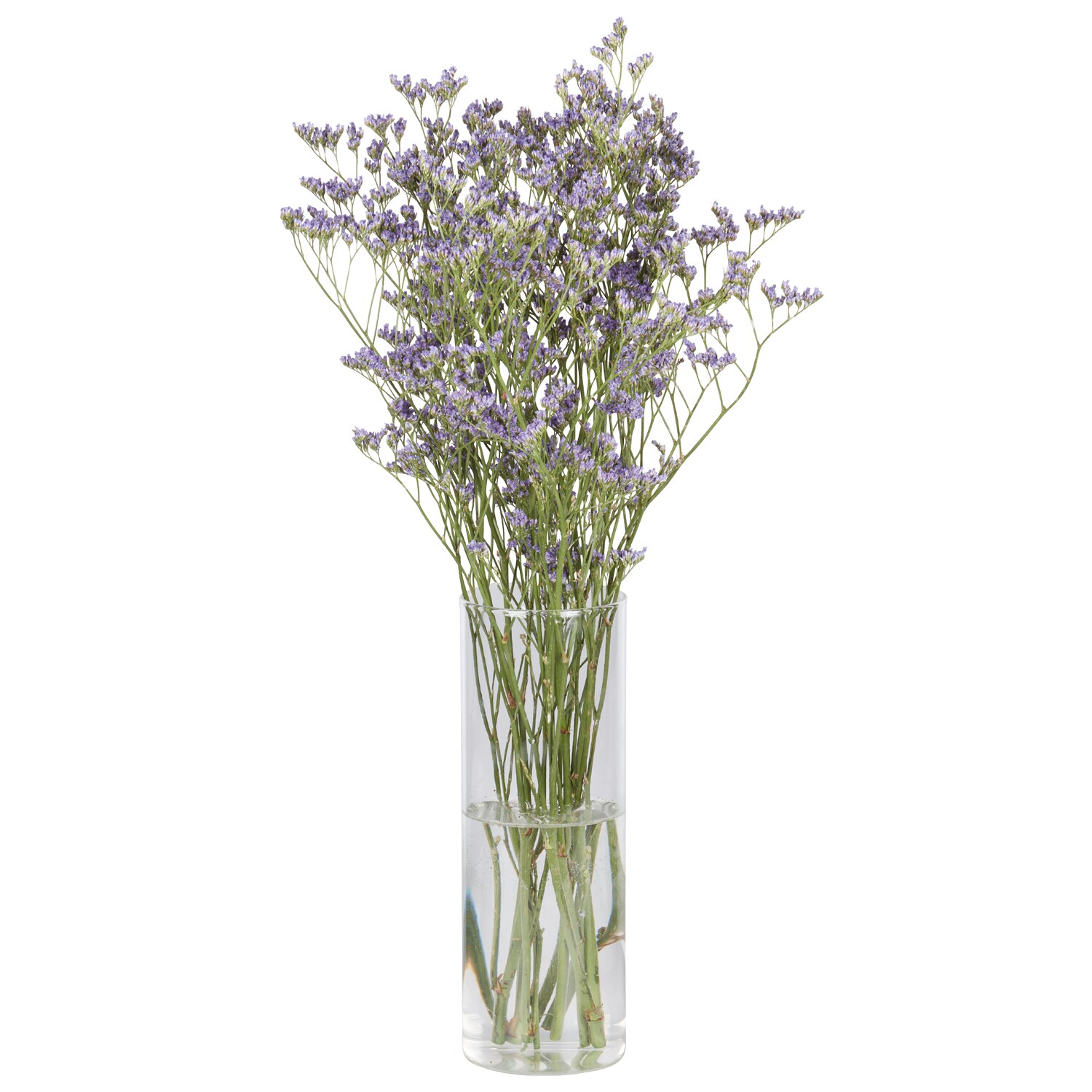 "Sea Lavender" Limonium Bunch