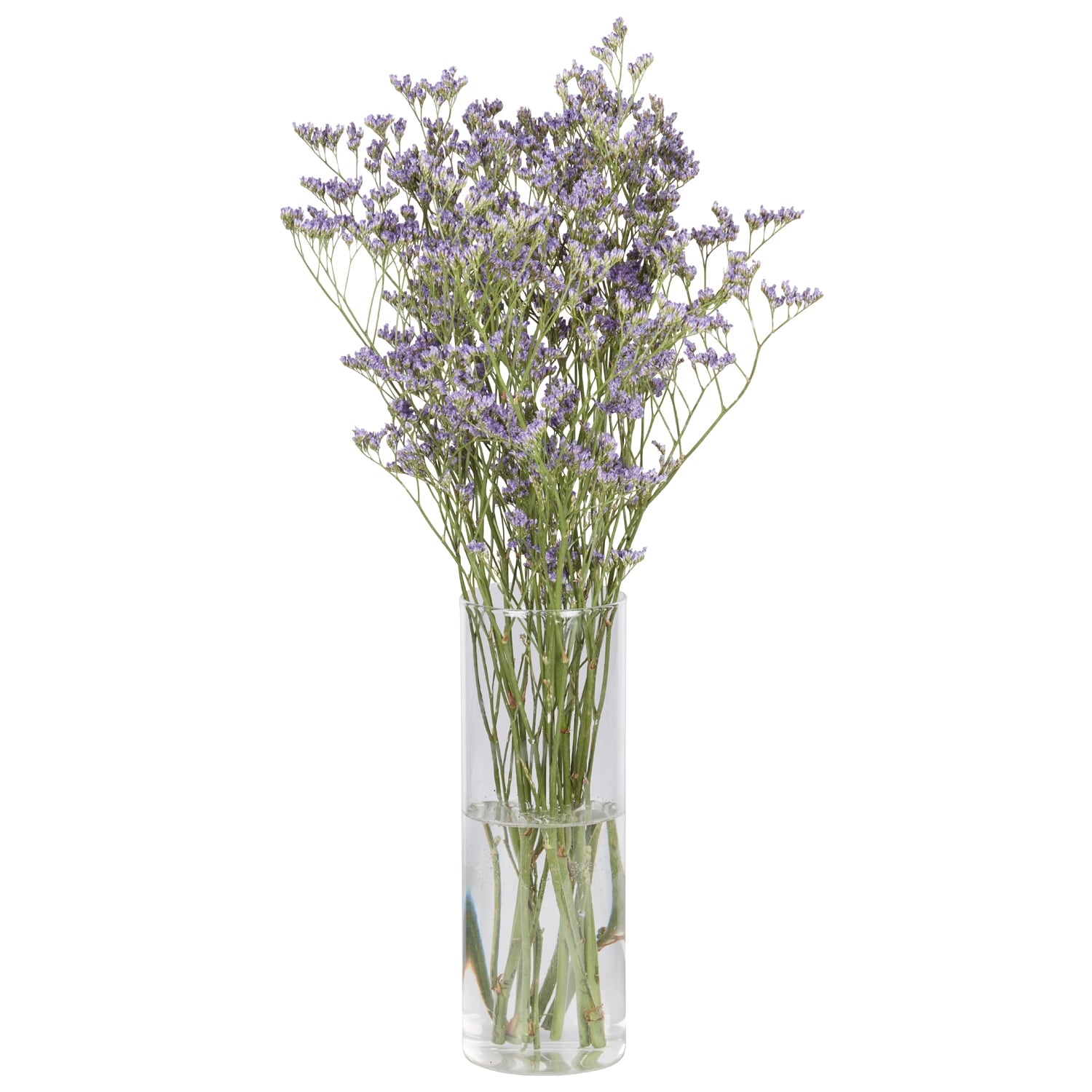 "Sea Lavender" Limonium Bunch