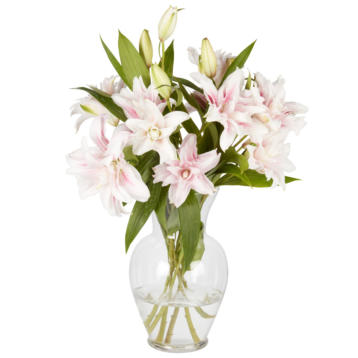 Pink Rose Lilies