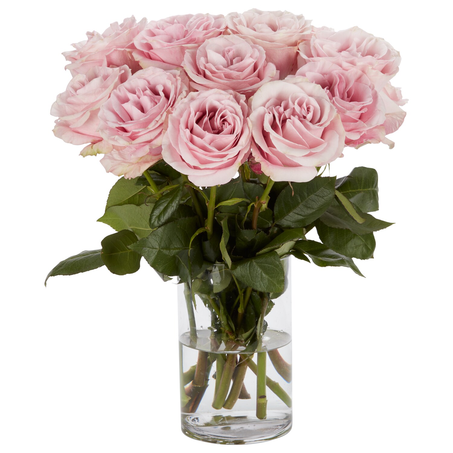 Deluxe Long-Stem Secret Garden Roses