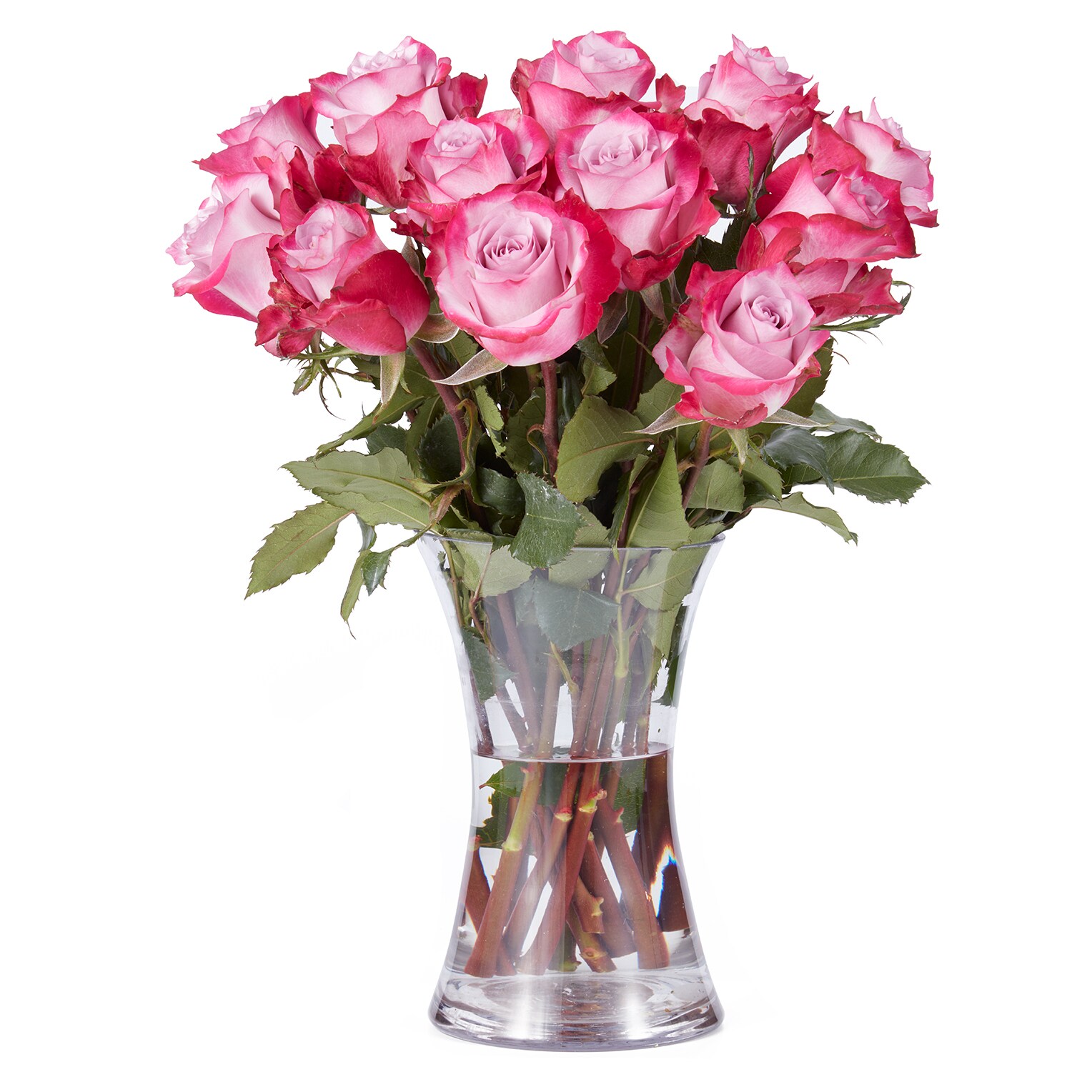 Roses, Various Colors