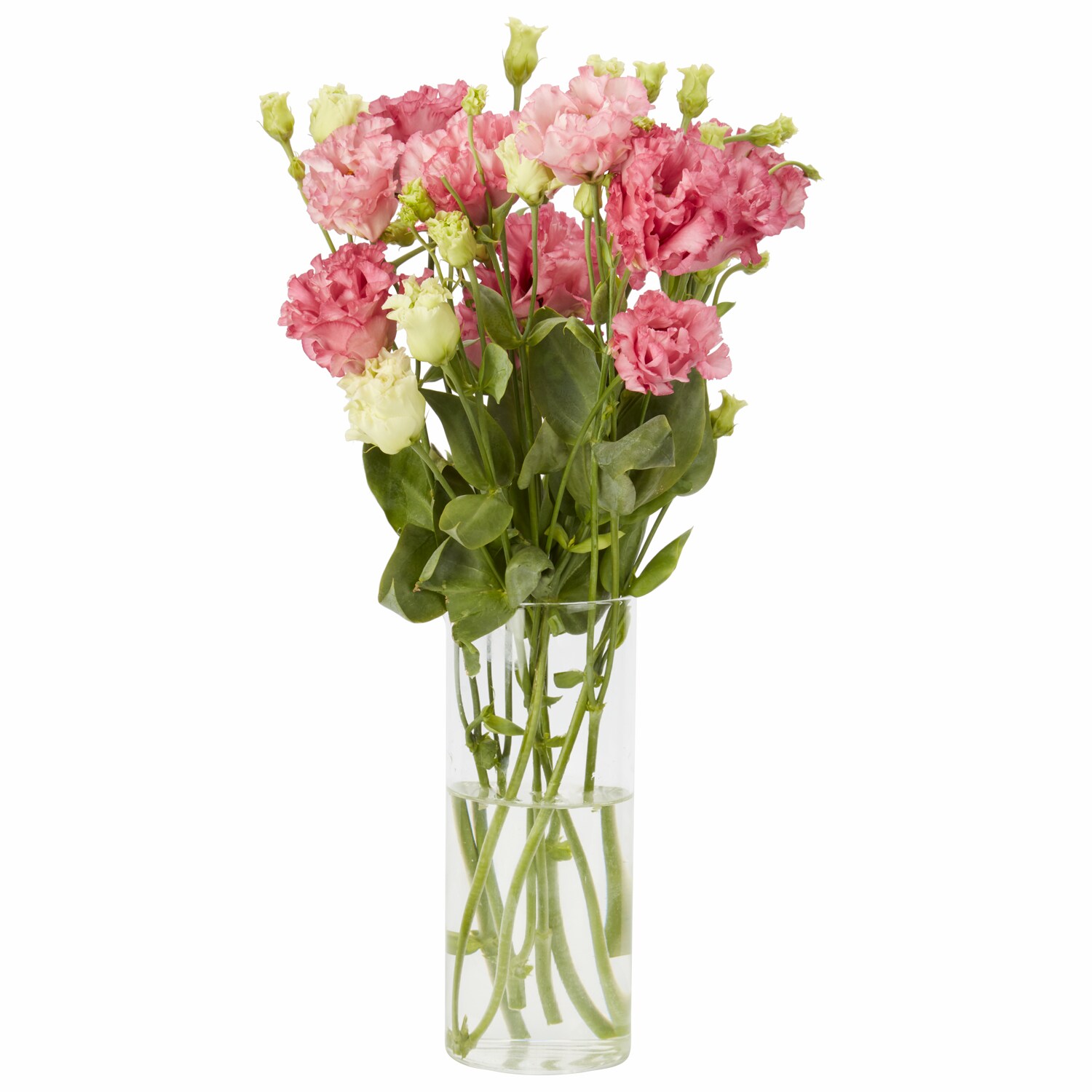 Lisianthus, Various Colors