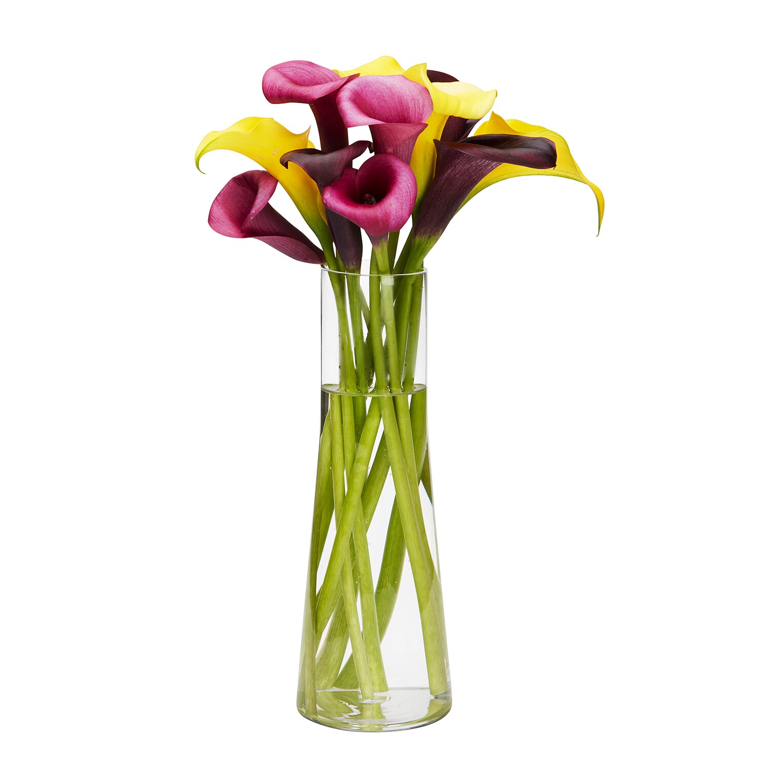 Mixed Calla Lily Bunch, Vermont Grown