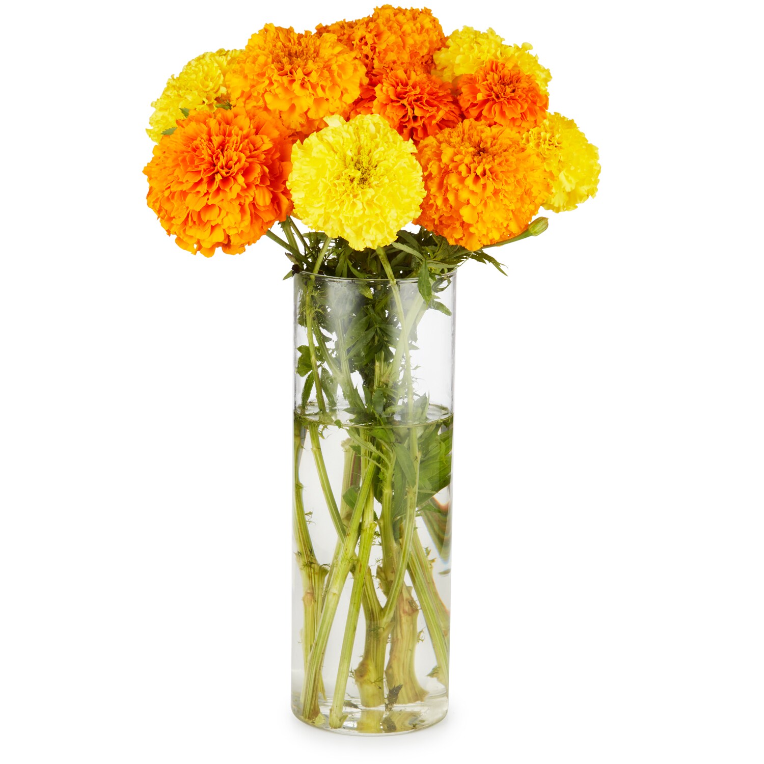 Lancaster Farm Fresh Cooperative Locally Grown Marigolds