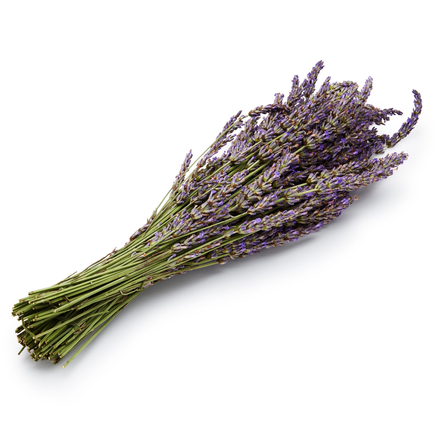 Lancaster Farm Fresh Cooperative Lavender Bunched