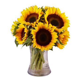 Wells Homestead Acres Sunflower Bunch, Locally Grown