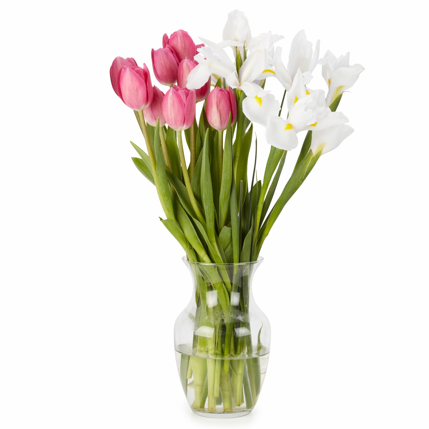Perfect Pairing: Tulips and Irises