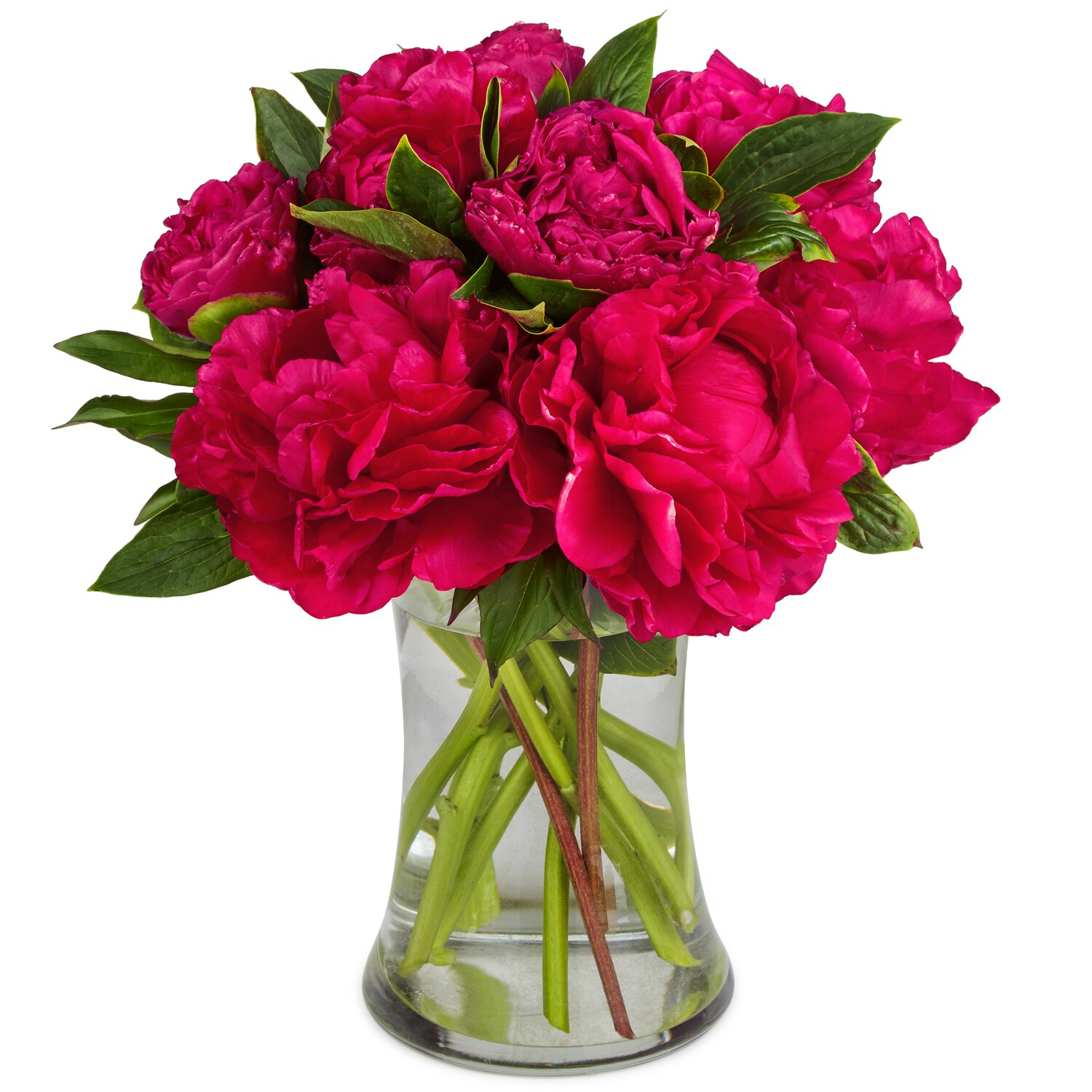 Arctic Red Peony Bunch, Alaskan Grown