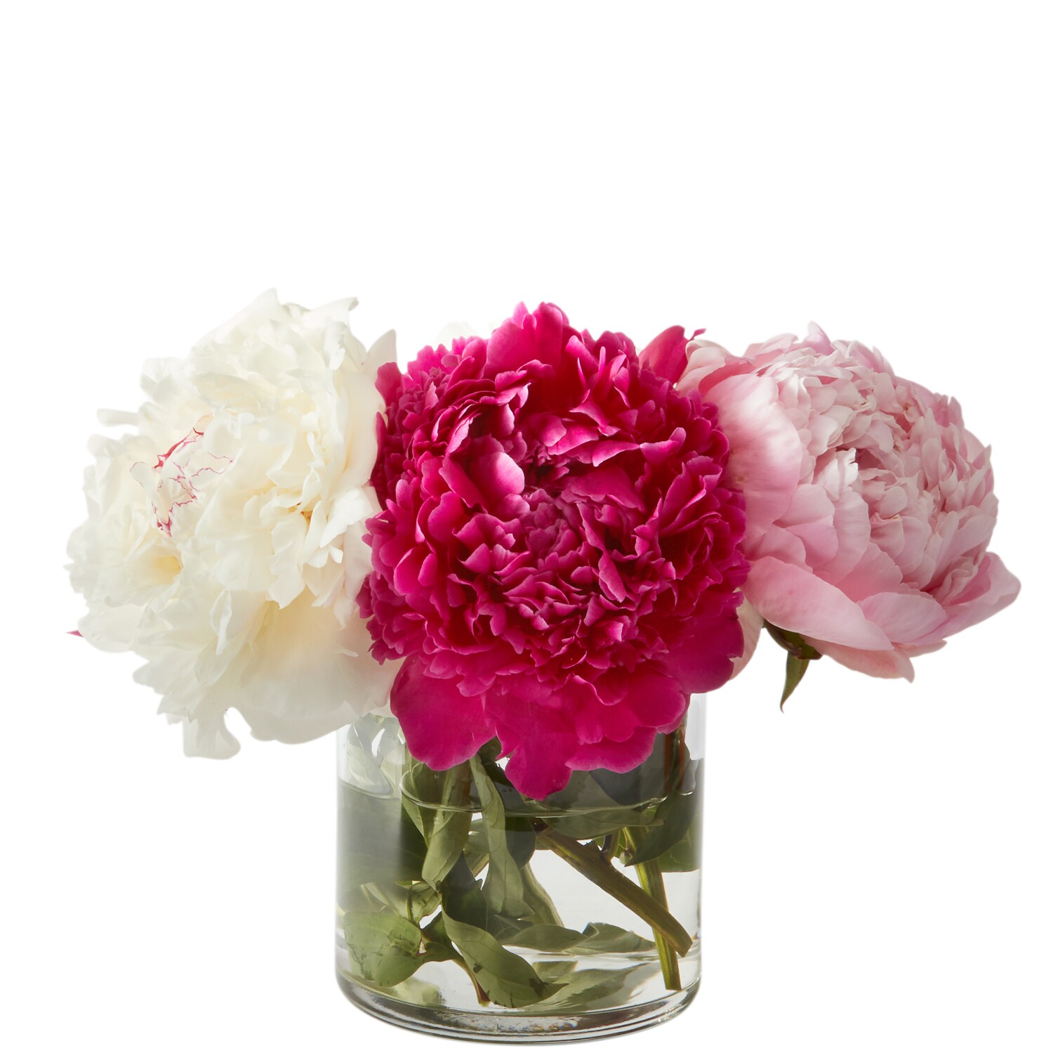 Mixed Peony Bunch, Alaskan Grown