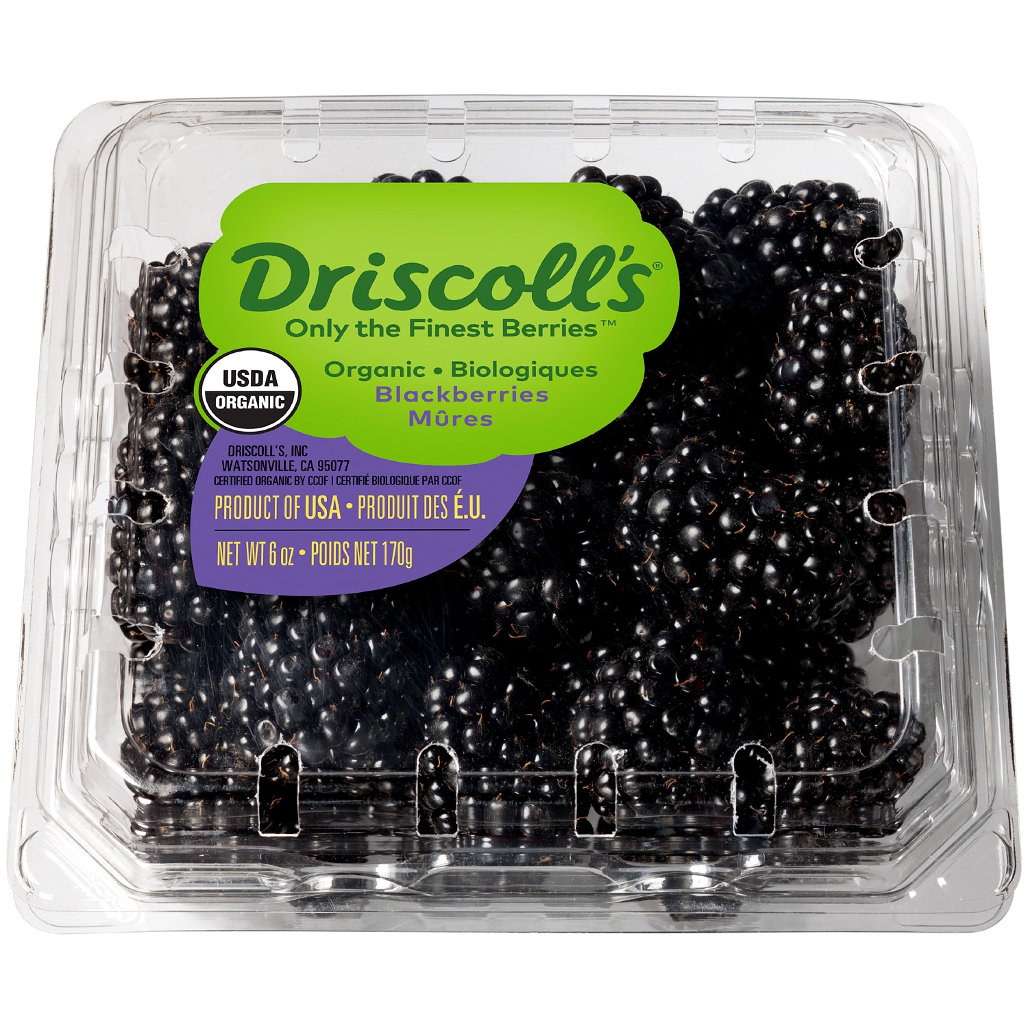 Driscolls Organic Blackberries, image 1 of 2 slides