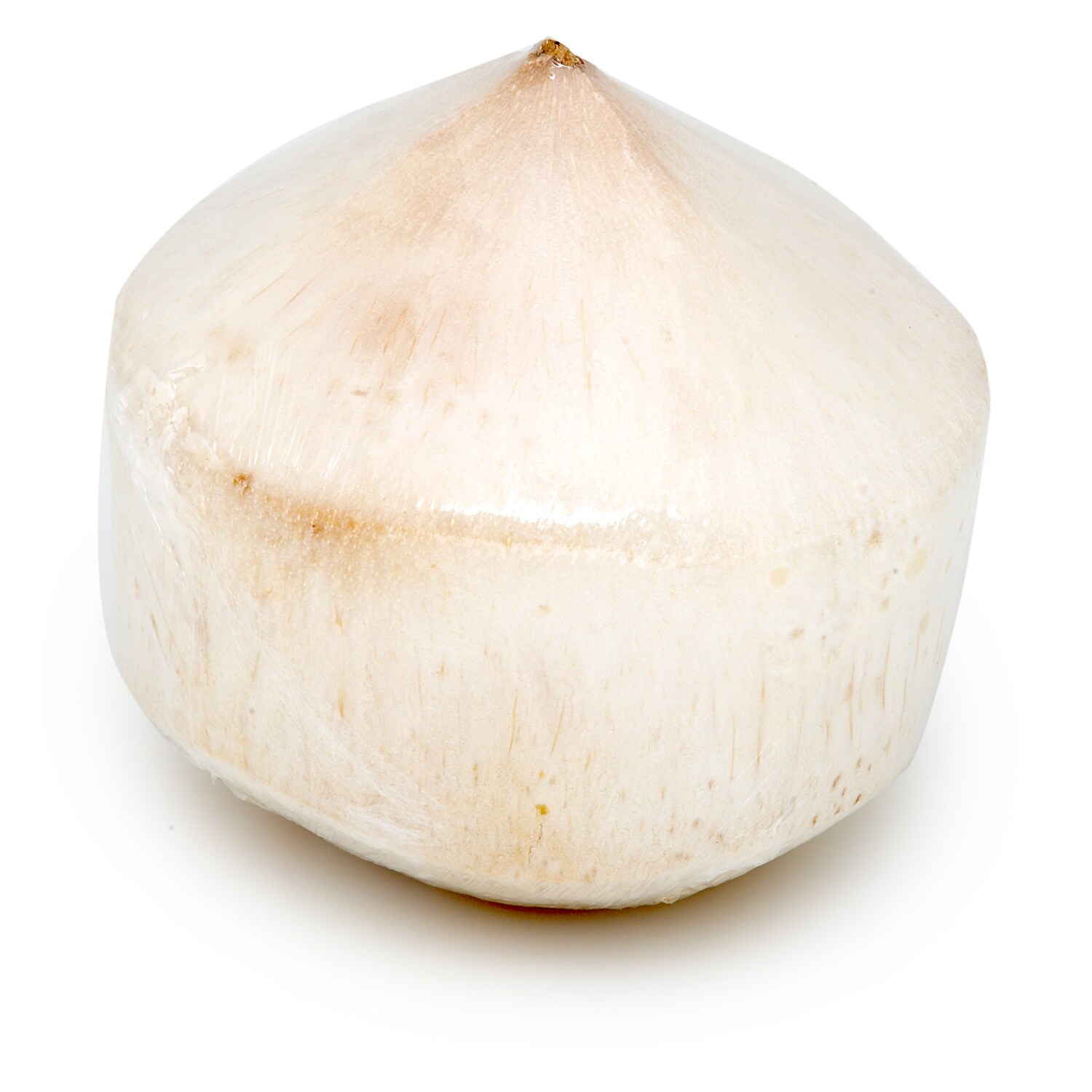 Young Coconut